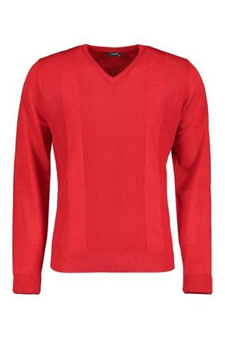 DL0001.DZIANINA.V-NECK.Struktura.Czerwony.J.73835_L - 105571