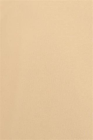 Camelowy płaszcz męski Raulo Tech 24521 - 115741