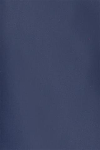 Granatowy płaszcz męski 24524 - 126001