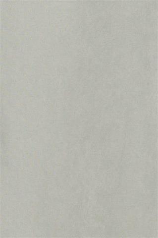 Szary płaszcz męski Allesandro Light 29755 - 128061