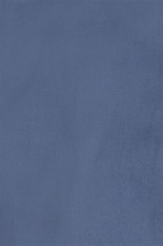 Niebieskie spodnie męskie Chinos PBT 60107 - 134421
