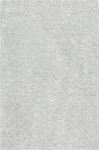 DL0001.POLO.KOŁNIERZ.BD.Szare.73874_S - 138191