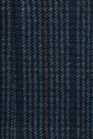 Męski płaszcz w kratę Raul 2 Taddeo 20738 - 162371