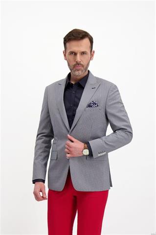 Marynarka męska w drobną kratę 46082 - 246241