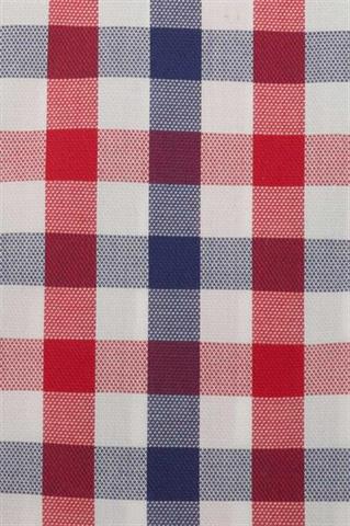 Koszula męska w kratkę 92727 - 269711