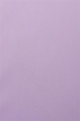 Jednolita koszula męska w odcieniu fioletu 92545 - 270021