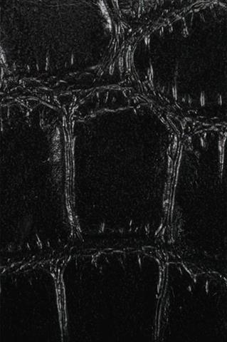 D80002.TOREBKA.A.CZARNA.LV114-20-13.85734 - 276211