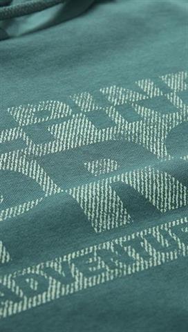 Zielona bluza męska 58406 - 291291