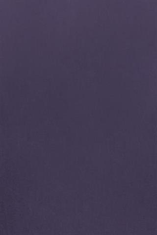 D80002.SUKIENKA.T-WH-AMELIE-13.85874_42 - 308461