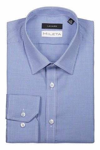 Koszula męska w biało-niebieską kratkę 93248 - 341981