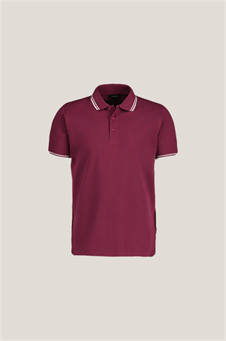 Polo męskie 74147 - 458661