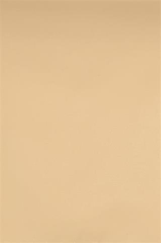 Płaszcz damski w kolorze camel 87225 - 623811