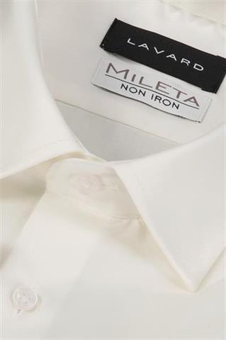 Bawełniana koszula męska non-iron  93546 - 634061