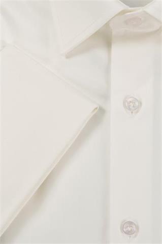 Bawełniana koszula męska non-iron  93546 - 634071