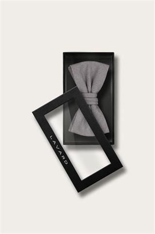 Szara muszka męska 57683 - 668021