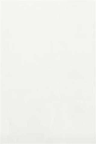 Elegancka biała bluzka Mila 85066 - 96391
