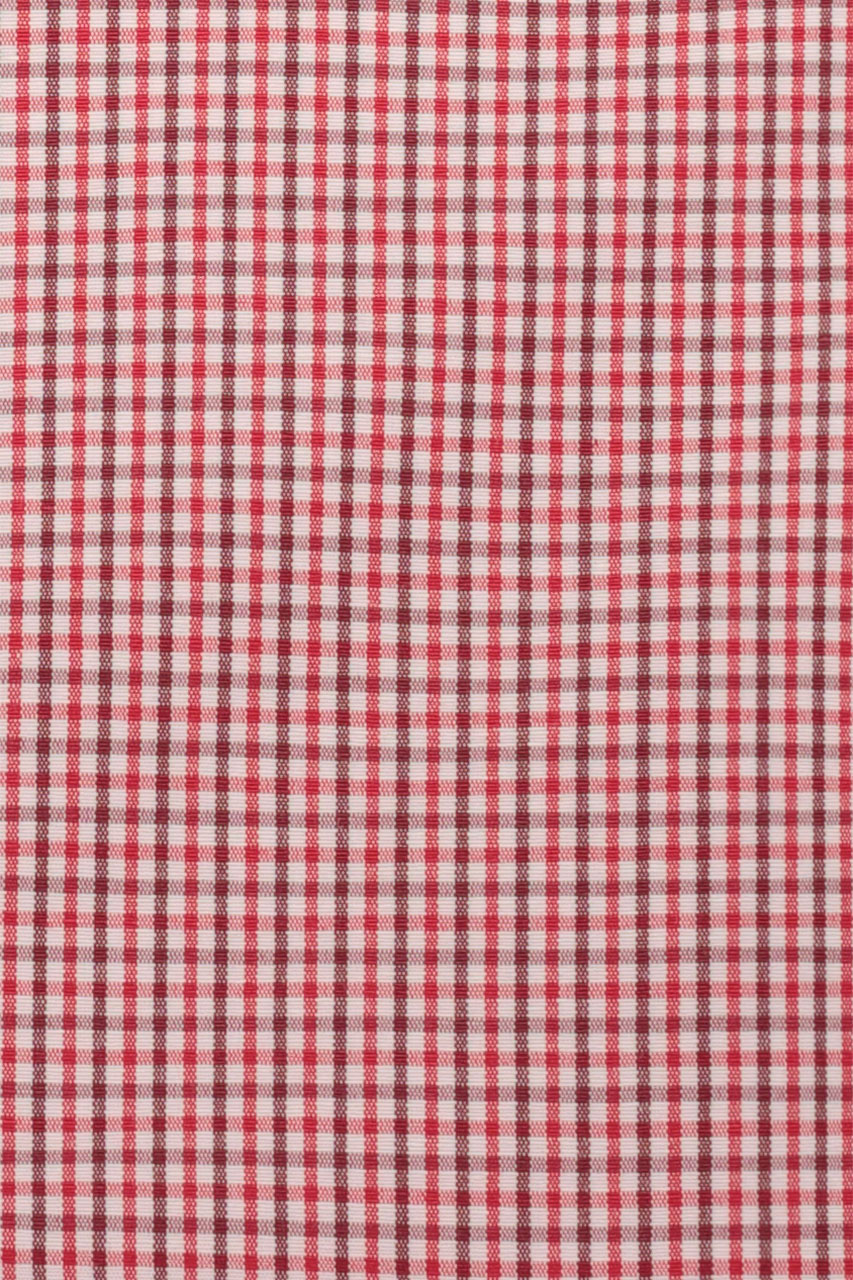 20393003173_(T)