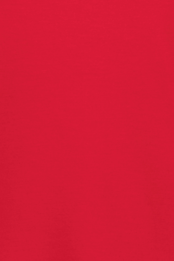 58206_(T)