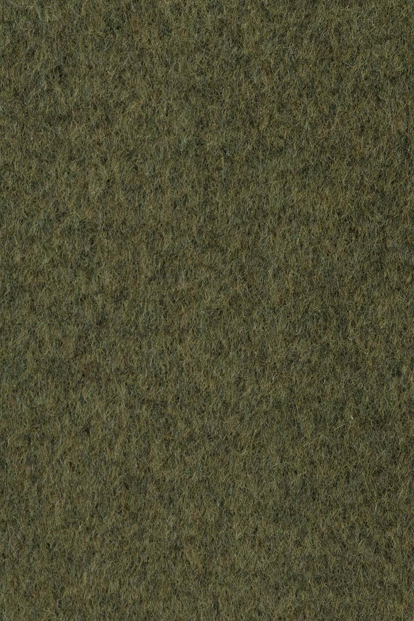 24284036557_(T)