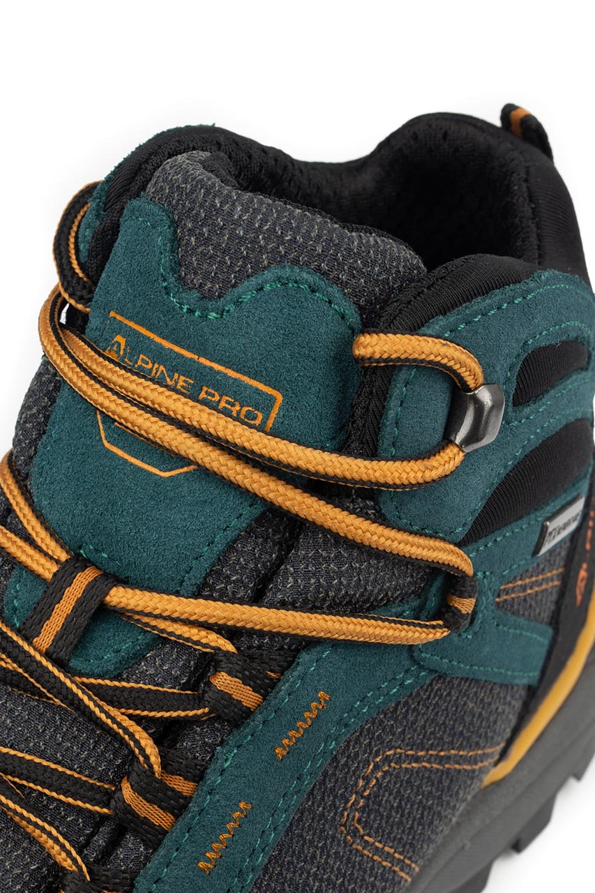 Alpine Pro_0002s_0005_BORKA