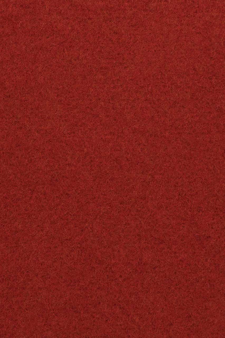 24284019557_(T)