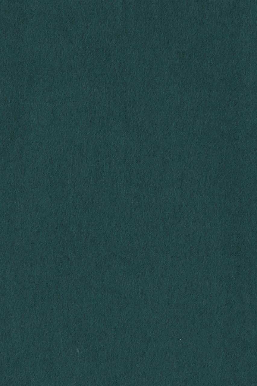 26286171 (T)