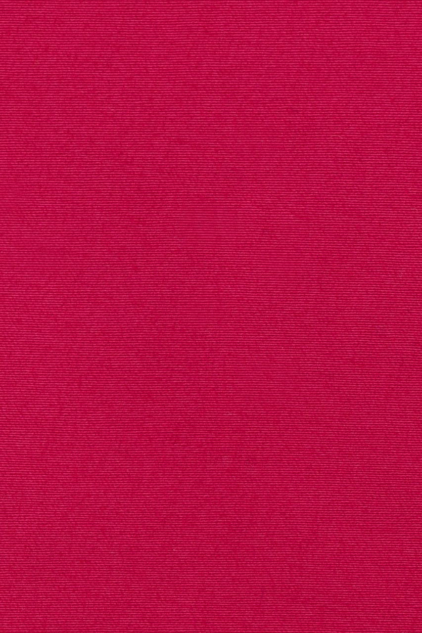 23984558557_(T)