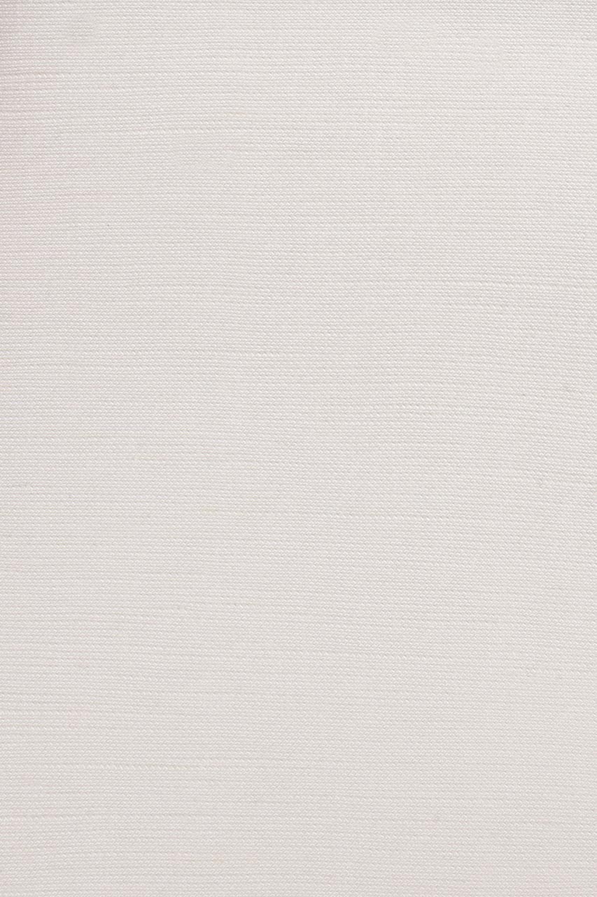 23984696557_(T)