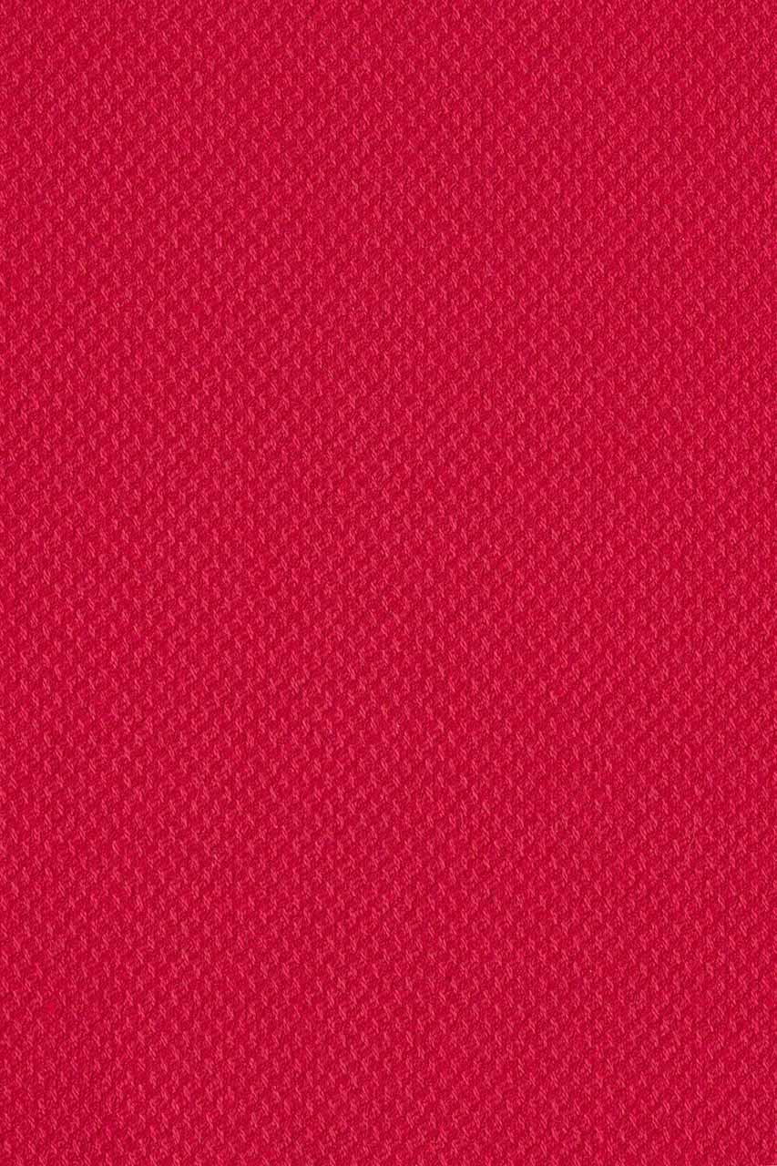 25684599557_(T)