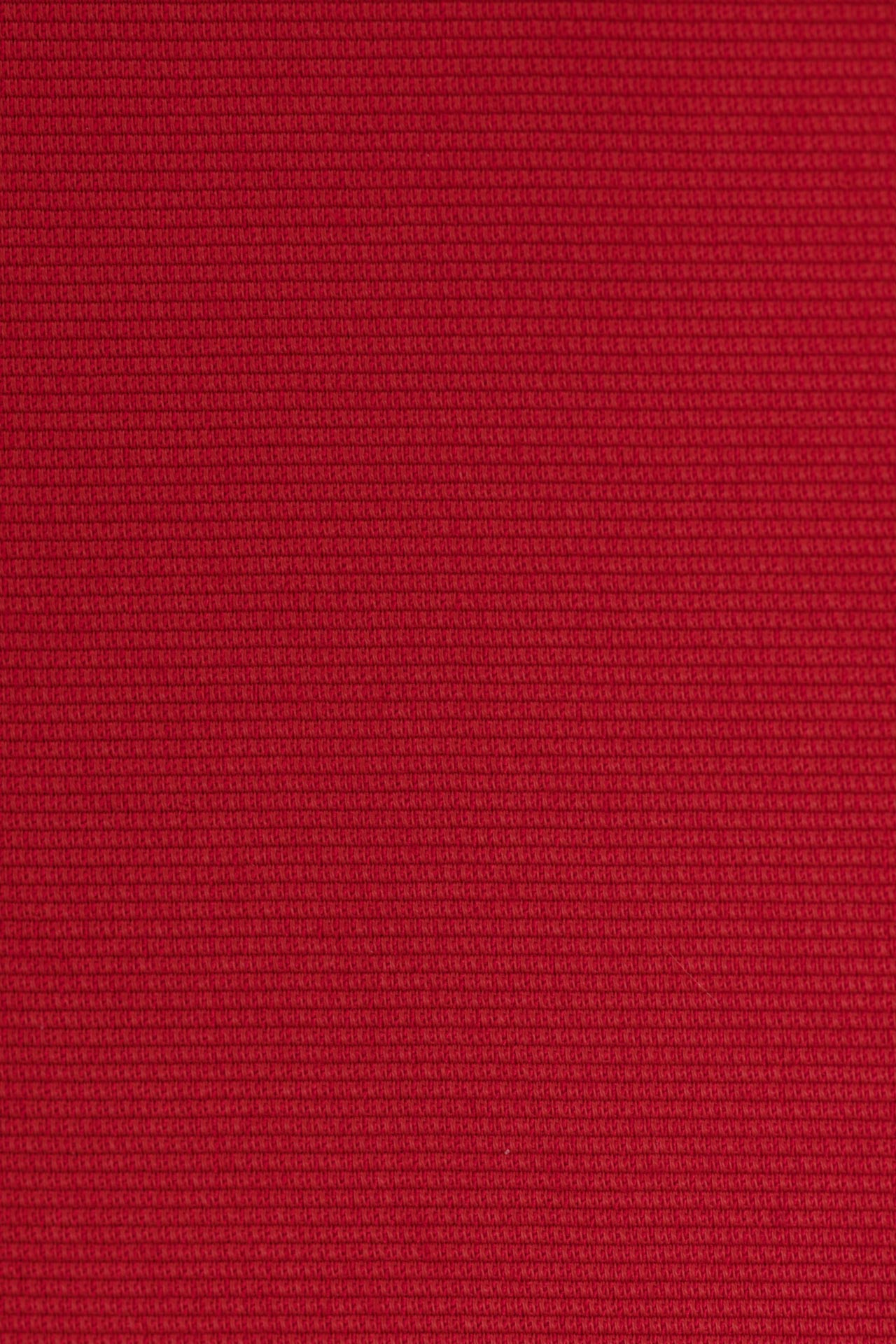 24283756557_(T)