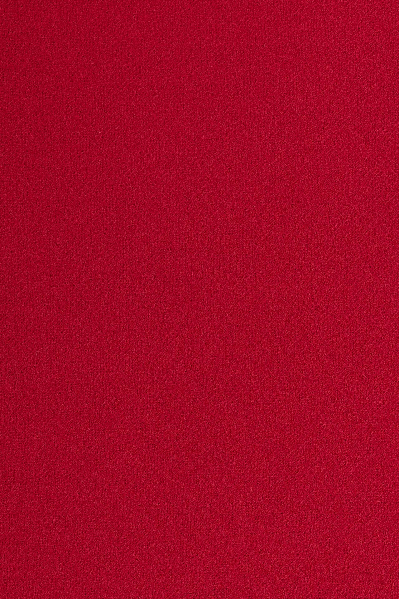 24283761557_(T)