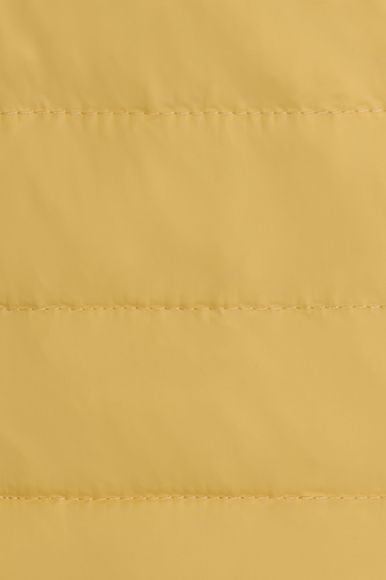24283775557_(T)