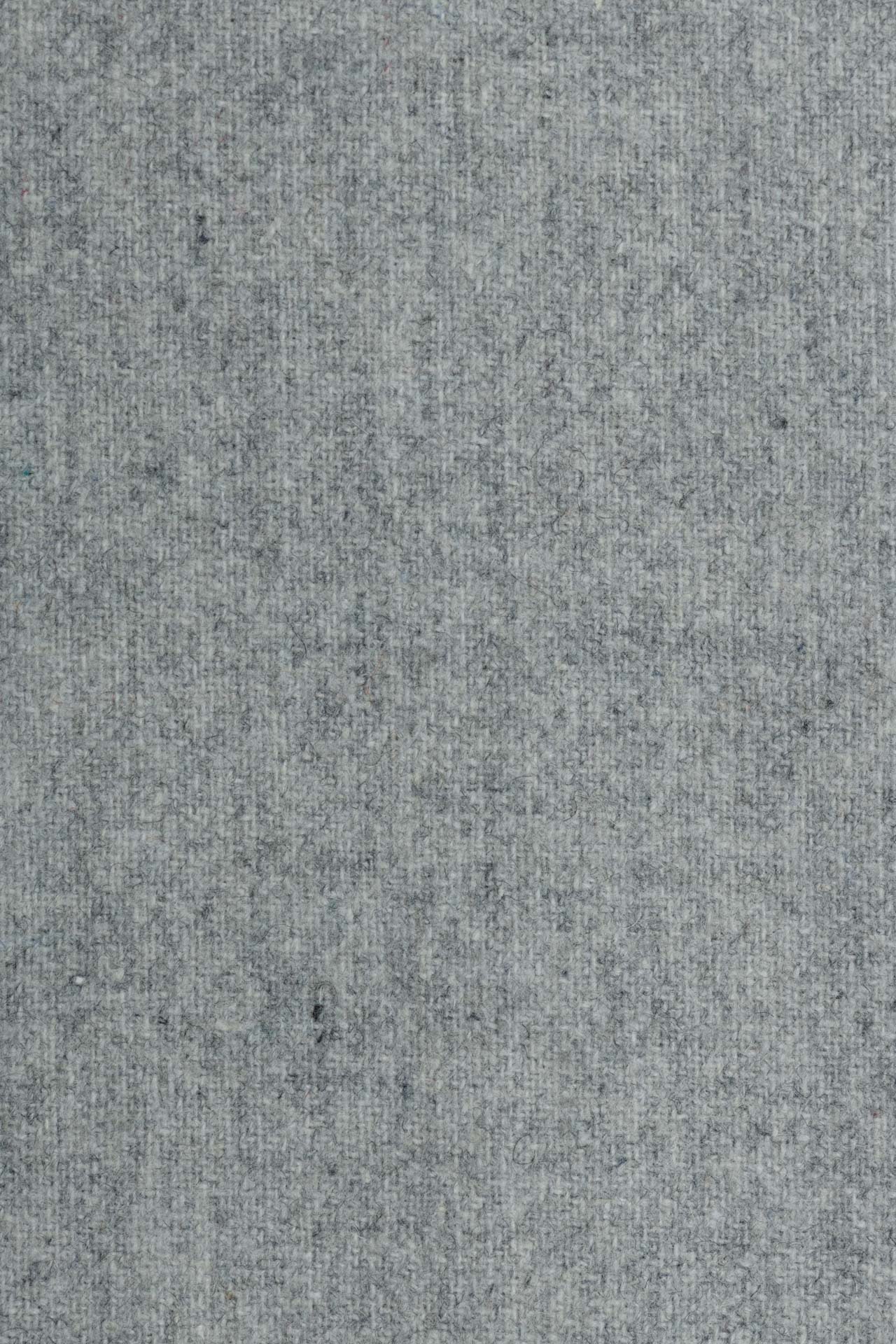 24283737557_(T)