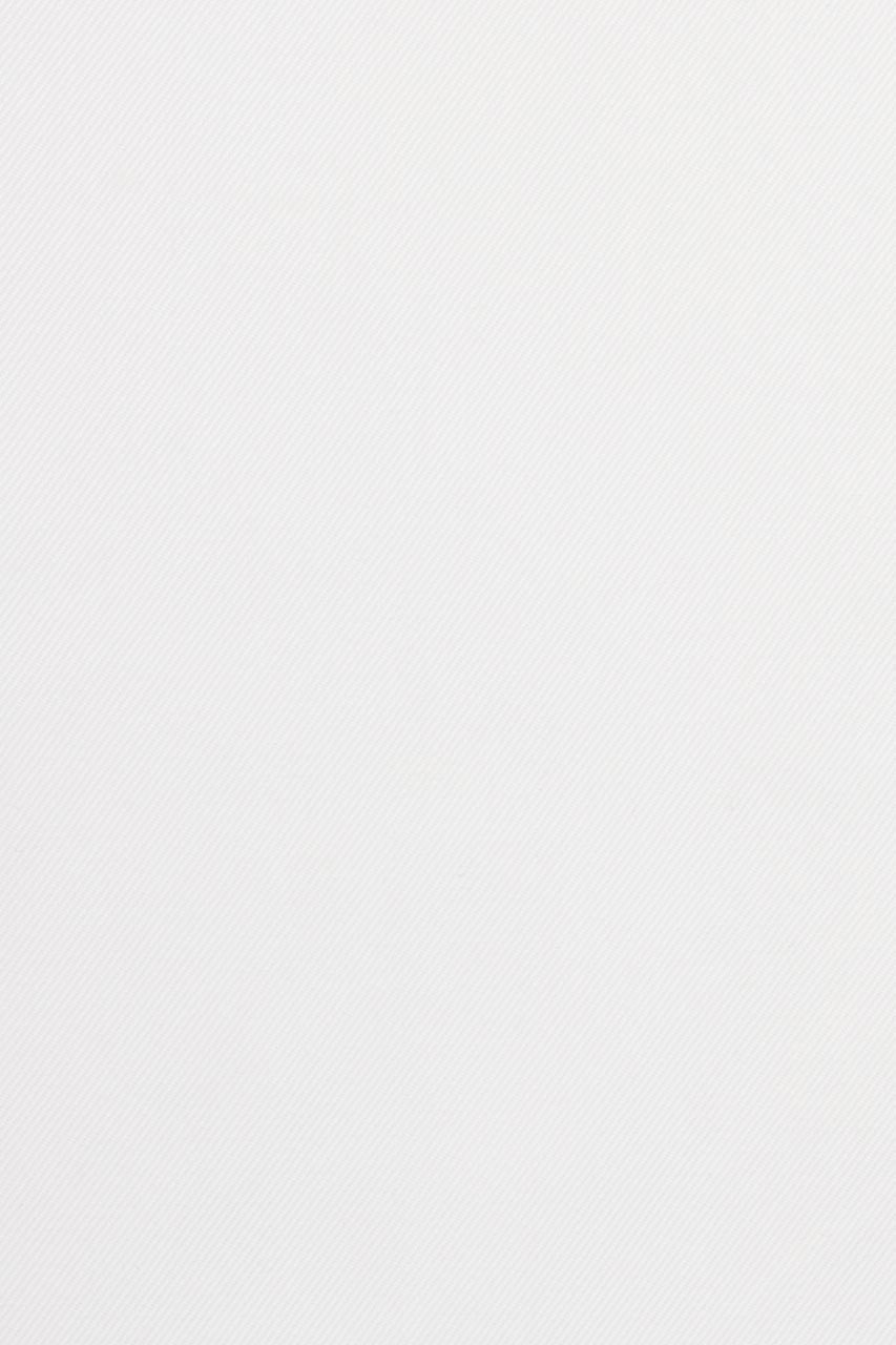 20393031173_(T)