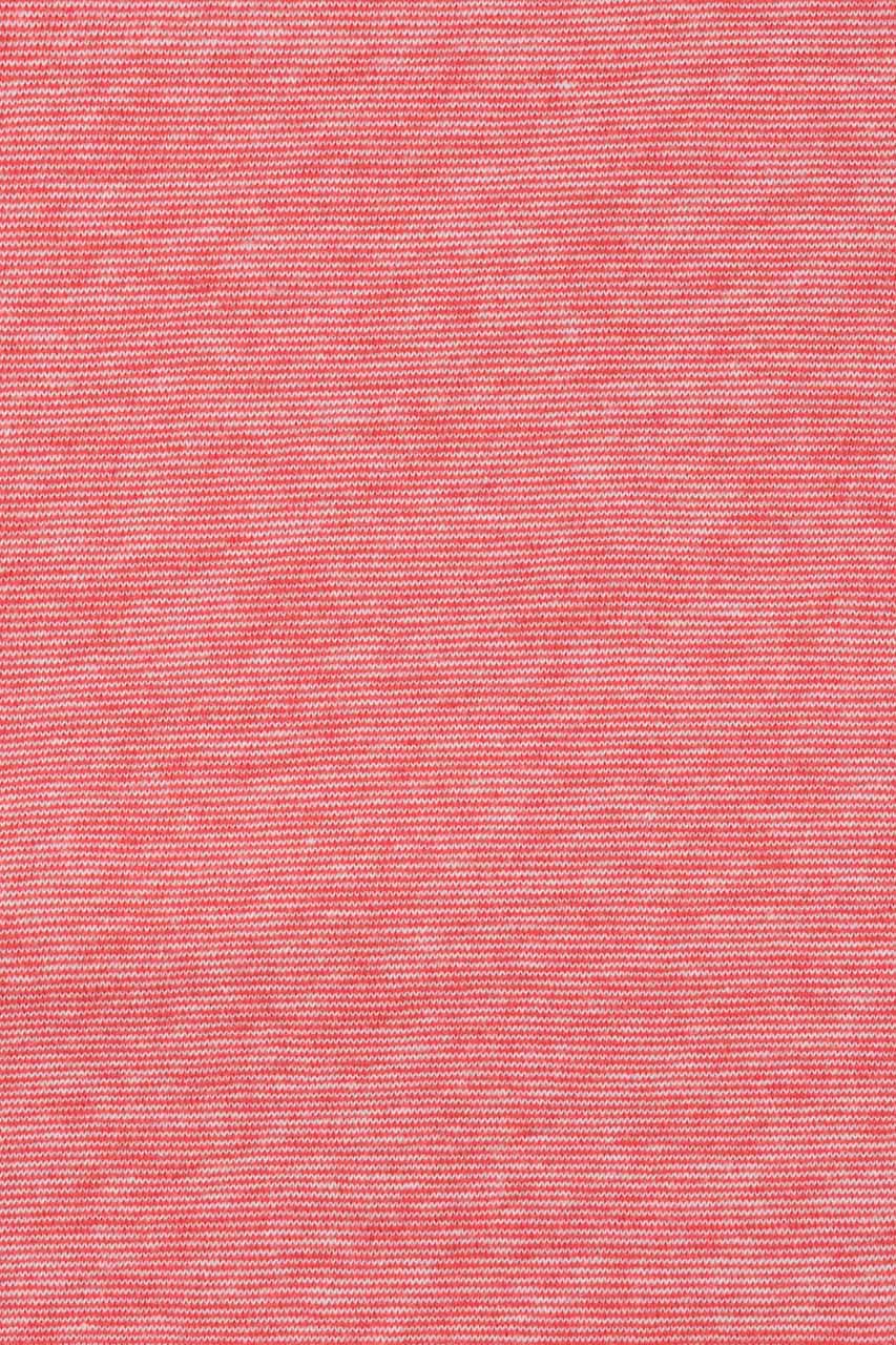 20872973812_(T)